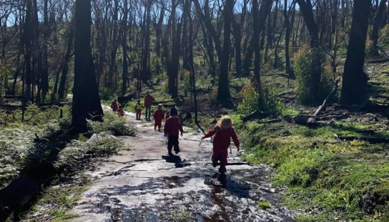 Kindergarten students walk along a path surrounded by burnt trees